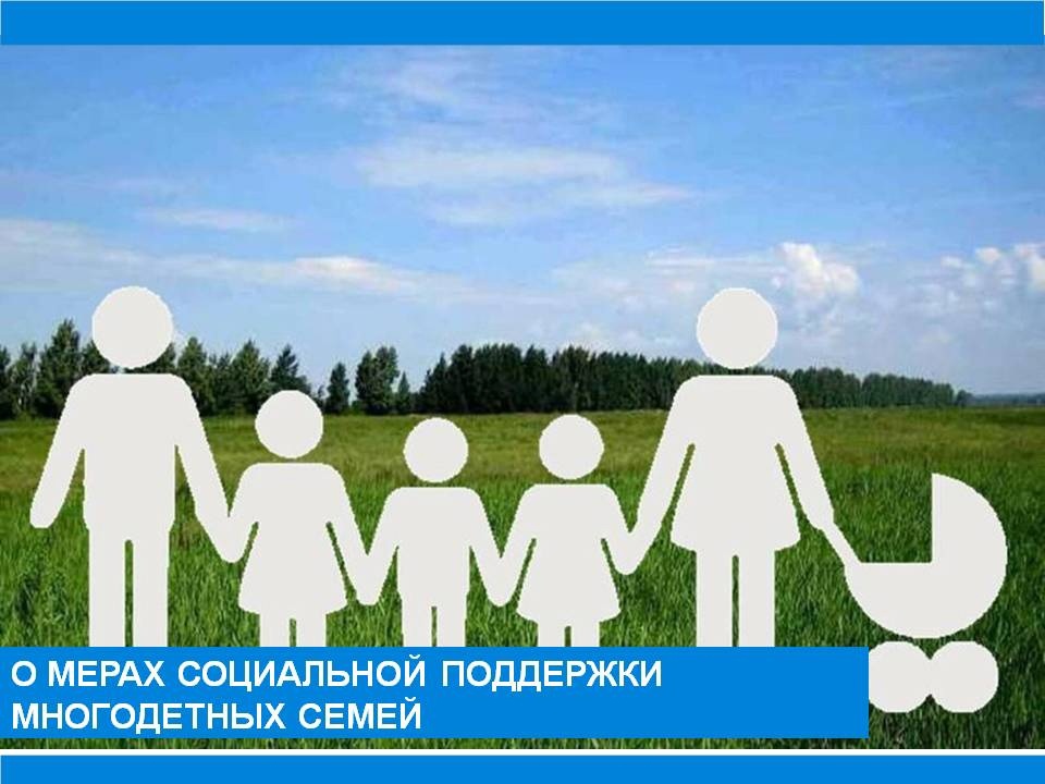 Меры социальной поддержки многодетных семей.